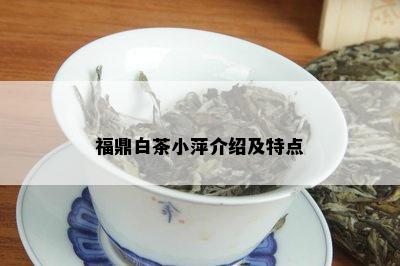 福鼎白茶小萍介绍及特点