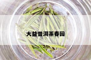 大益普洱茶春园