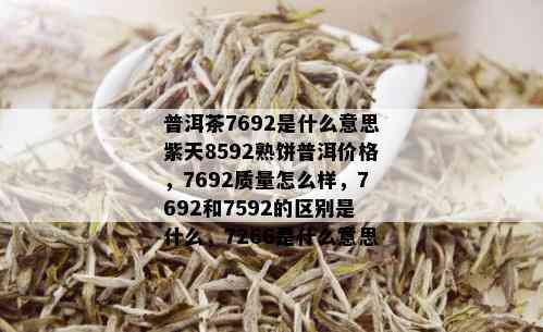 普洱茶7692是什么意思紫天8592熟饼普洱价格，7692质量怎么样，7692和7592的区别是什么，7266是什么意思