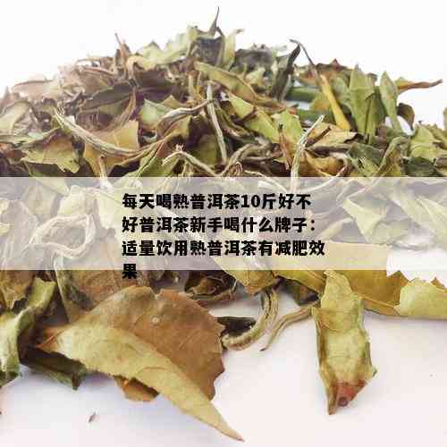 每天喝熟普洱茶10斤好不好普洱茶新手喝什么牌子：适量饮用熟普洱茶有减肥效果