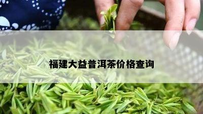 福建大益普洱茶价格查询