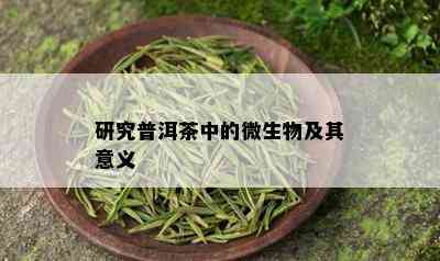 研究普洱茶中的微生物及其意义