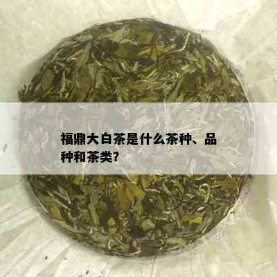 福鼎大白茶是什么茶种、品种和茶类？