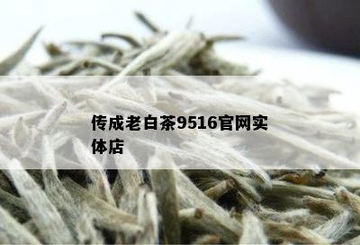 传成老白茶9516官网实体店