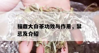 福鼎大白茶功效与作用，禁忌及介绍