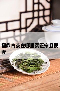 福鼎白茶在哪里买正宗且便宜