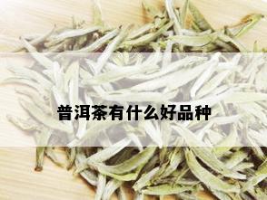 普洱茶有什么好品种