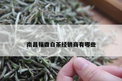 南昌福鼎白茶经销商有哪些