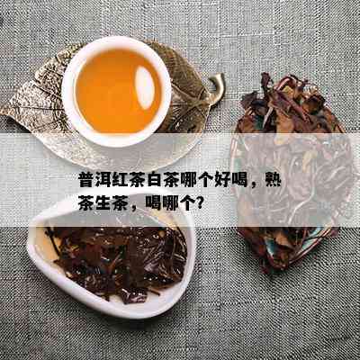 普洱红茶白茶哪个好喝，熟茶生茶，喝哪个？