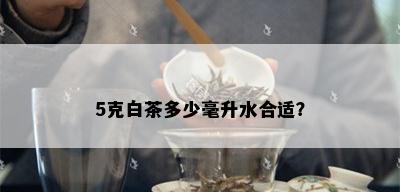 5克白茶多少毫升水合适？