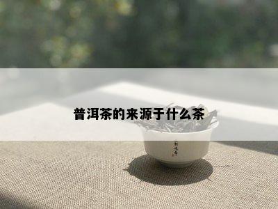 普洱茶的来源于什么茶