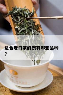 适合老白茶的碗有哪些品种?