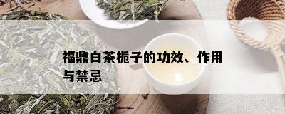 福鼎白茶栀子的功效、作用与禁忌