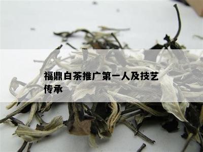 福鼎白茶推广之一人及技艺传承