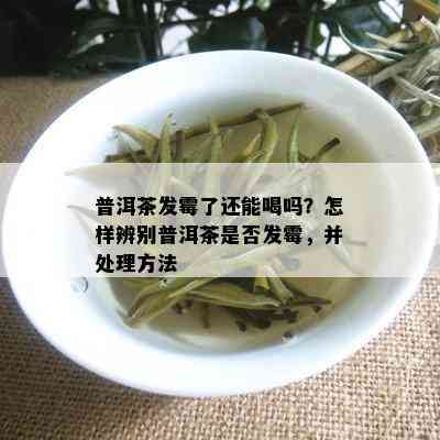 普洱茶发霉了还能喝吗？怎样辨别普洱茶是否发霉，并处理方法