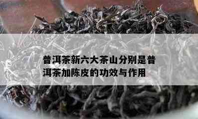 普洱茶新六大茶山分别是普洱茶加陈皮的功效与作用