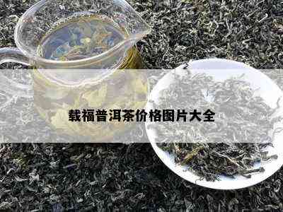 载福普洱茶价格图片大全