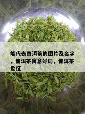 能代表普洱茶的图片及名字，普洱茶寓意好词，普洱茶象征