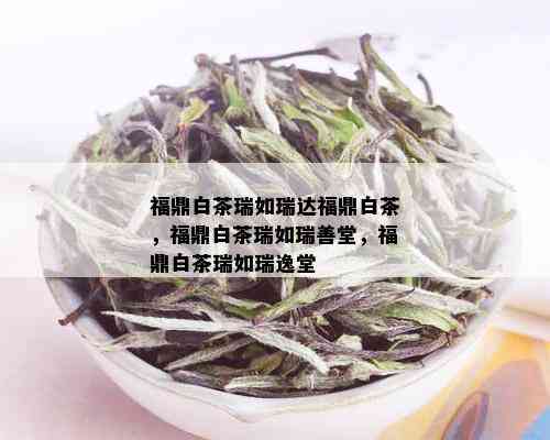 福鼎白茶瑞如瑞达福鼎白茶，福鼎白茶瑞如瑞善堂，福鼎白茶瑞如瑞逸堂