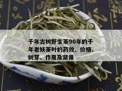 千年古树野生茶90年的千年老妖茶叶的效、价格、树芽、作用及禁用