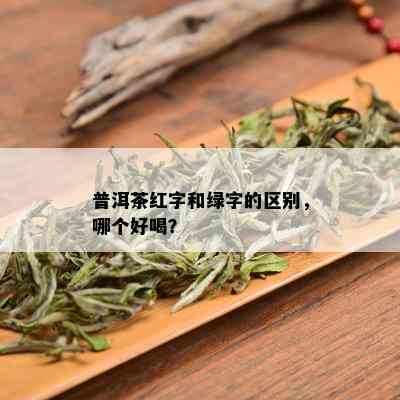 普洱茶红字和绿字的区别，哪个好喝？