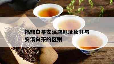 福鼎白茶安溪店地址及其与安溪白茶的区别