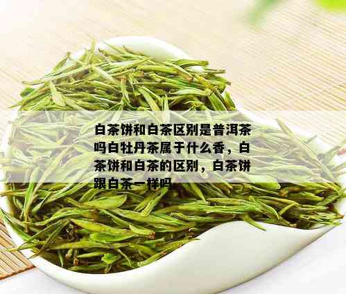 白茶饼和白茶区别是普洱茶吗白牡丹茶属于什么香，白茶饼和白茶的区别，白茶饼跟白茶一样吗