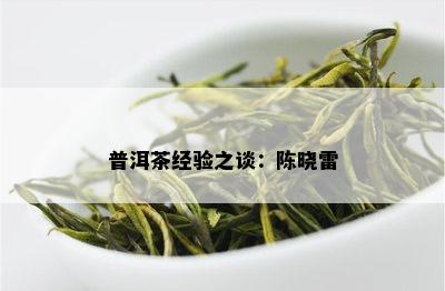 普洱茶经验之谈：陈晓雷