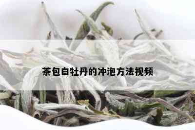 茶包白牡丹的冲泡方法视频