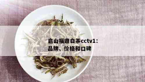 启山福鼎白茶cctv1：品牌、价格和口碑