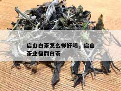 启山白茶怎么样好喝，启山茶业福鼎白茶