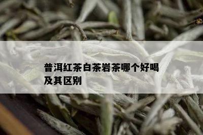 普洱红茶白茶岩茶哪个好喝及其区别