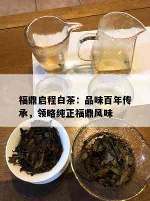 福鼎启程白茶：品味百年传承，领略纯正福鼎风味