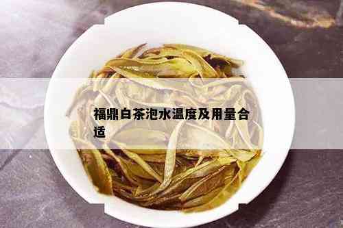 福鼎白茶泡水温度及用量合适