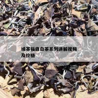 缘茶福鼎白茶系列讲解视频及价格