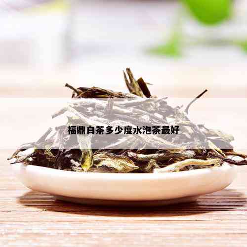 福鼎白茶多少度水泡茶更好