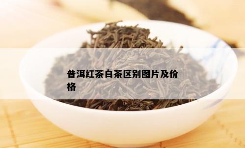 普洱红茶白茶区别图片及价格