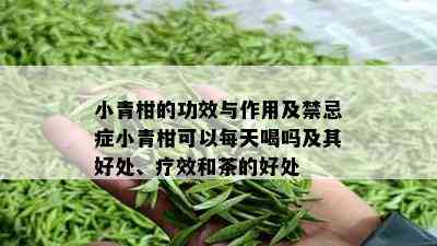 小青柑的功效与作用及禁忌症小青柑可以每天喝吗及其好处、疗效和茶的好处