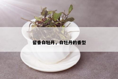 留香白牡丹，白牡丹的香型