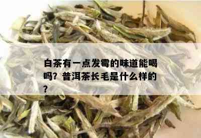 白茶有一点发霉的味道能喝吗？普洱茶长毛是什么样的？