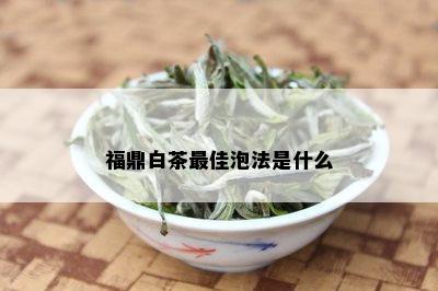 福鼎白茶更佳泡法是什么