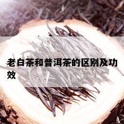 老白茶和普洱茶的区别及功效