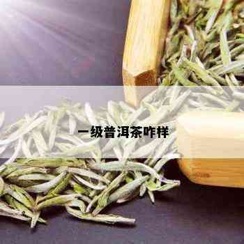 一级普洱茶咋样