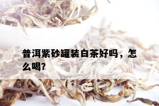 普洱紫砂罐装白茶好吗，怎么喝？