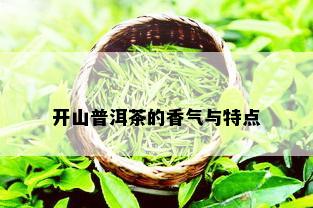 开山普洱茶的香气与特点