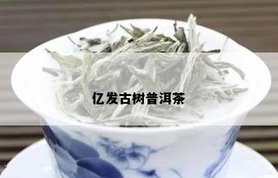 亿发古树普洱茶