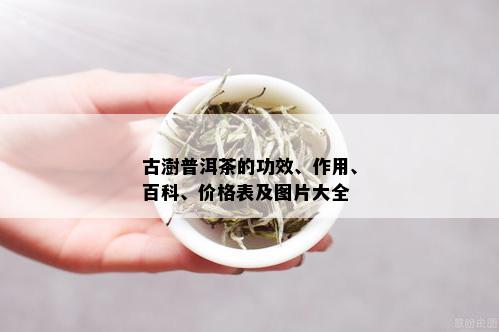 古澍普洱茶的功效、作用、百科、价格表及图片大全