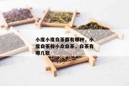 小度小度白茶都有哪种，小度白茶和小众白茶，白茶有哪几款