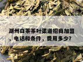 湖州白茶茶叶渠道招商加盟，电话和条件，费用多少？