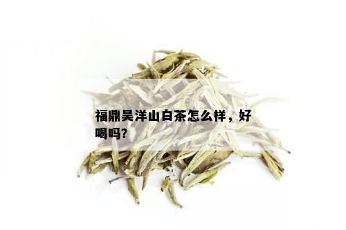 福鼎吴洋山白茶怎么样，好喝吗？